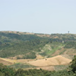 View album