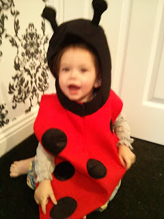 youngest ladybird