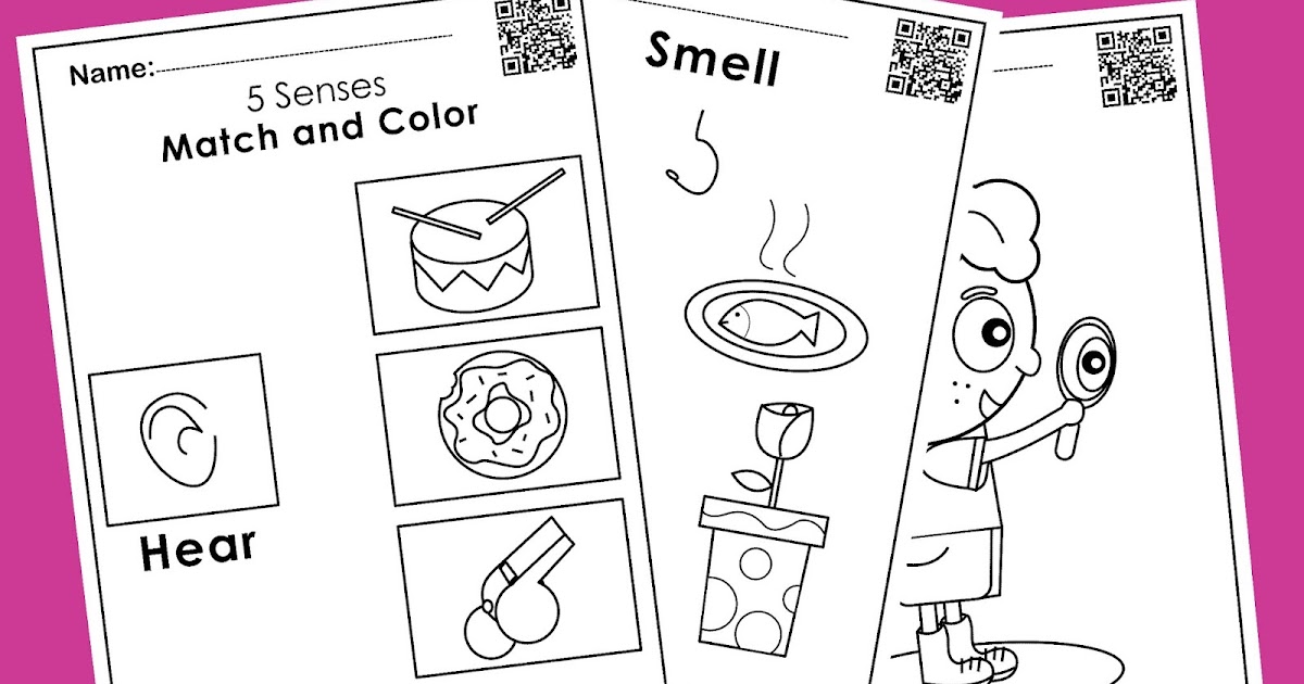 5 senses free worksheets activities for kids