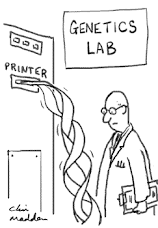The Human Genome