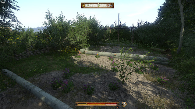 Guía para ganar dinero rápido y subir Herboristería en kingdom come deliverance