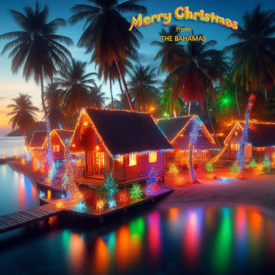 wooden houses on beach with christmas lights