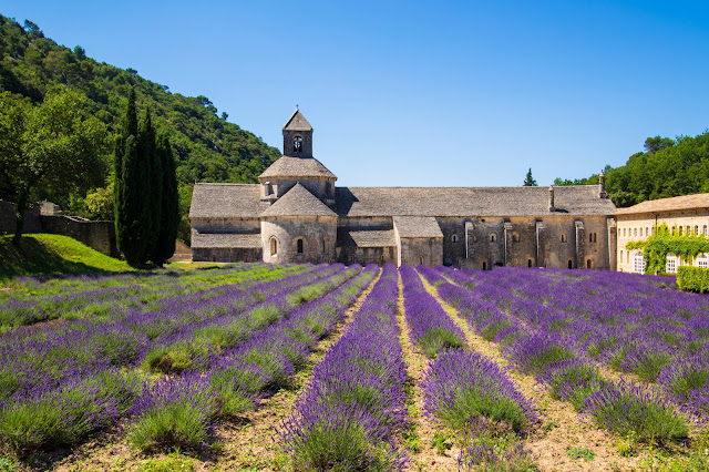 Abbazia di Senanque