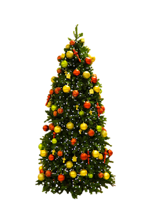 Menjelang perayaan hari Natal yang sebentar lagi datang dan semakin mendekat √ 5 gambar pohon NATAL yang cantik