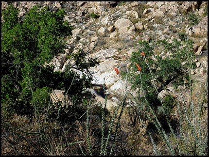 P1040234