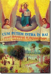 Cum putem intra in Rai