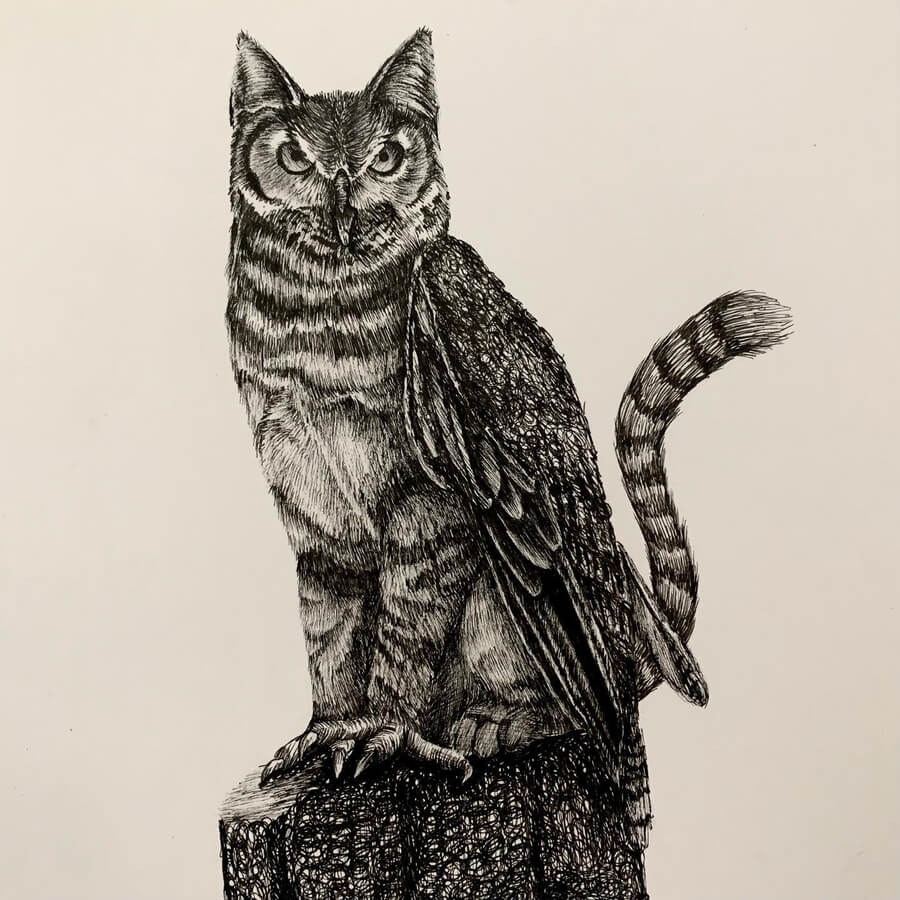 09-Owl-cat-hybrid-Surreal-Ink-Drawings-Shelby-LePage-www-designstack-co