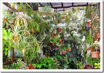 20100220_D6489_stitch-800