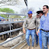  Exitosa feria ganadera paippera en Puerto Irigoyen