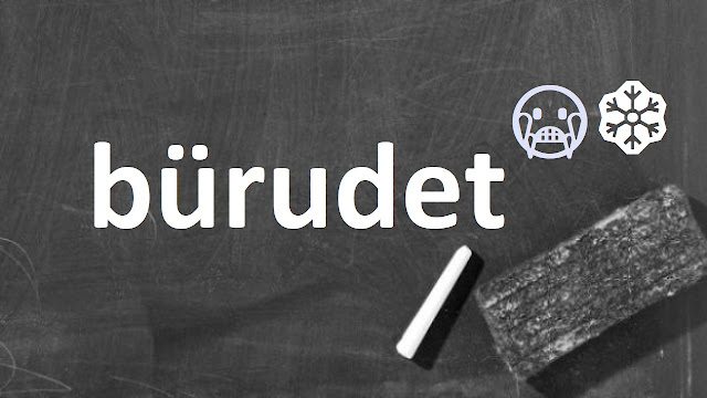 bürudet