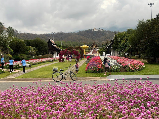 royak park rajapruek, royak flora rajapruek, rajapruek park, the royak park rajapruek, the royak flora rajapruek, rajapruek, chiang mai garden, chiang mai park