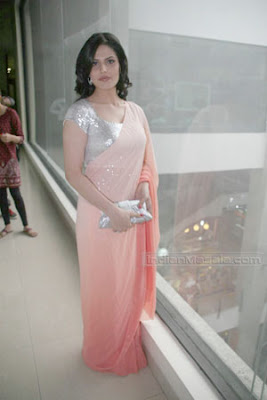 Zarine Khan Saree