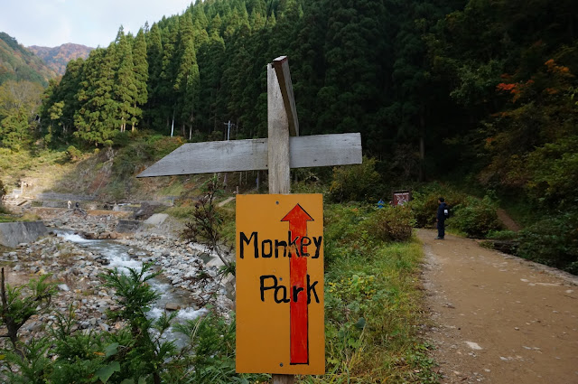 Yellow sign pointing to Monkey Park with a red arrow with a background of dirt trail and forests