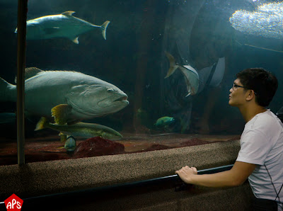 Me Talking to Mr. Fish