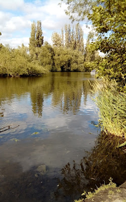 Lake with reflected trees