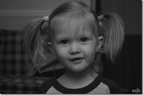 pigtails
