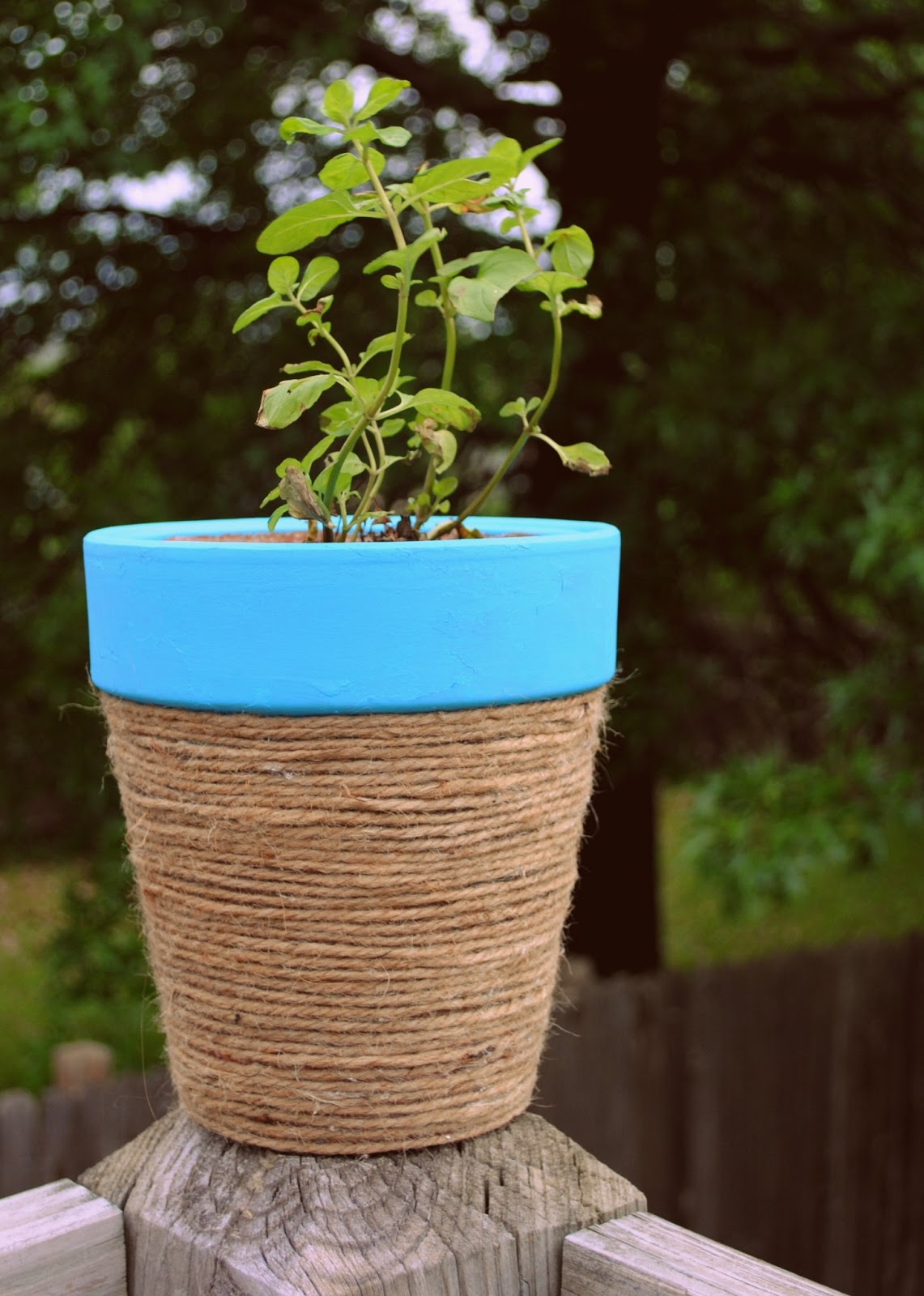 flower pot ideas for mother's day DIY Terracotta Pot Crafts | 1141 x 1600