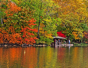 New York Central Park