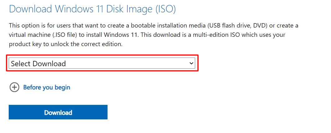 download windows 11 disk image iso