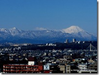 IMG_0602