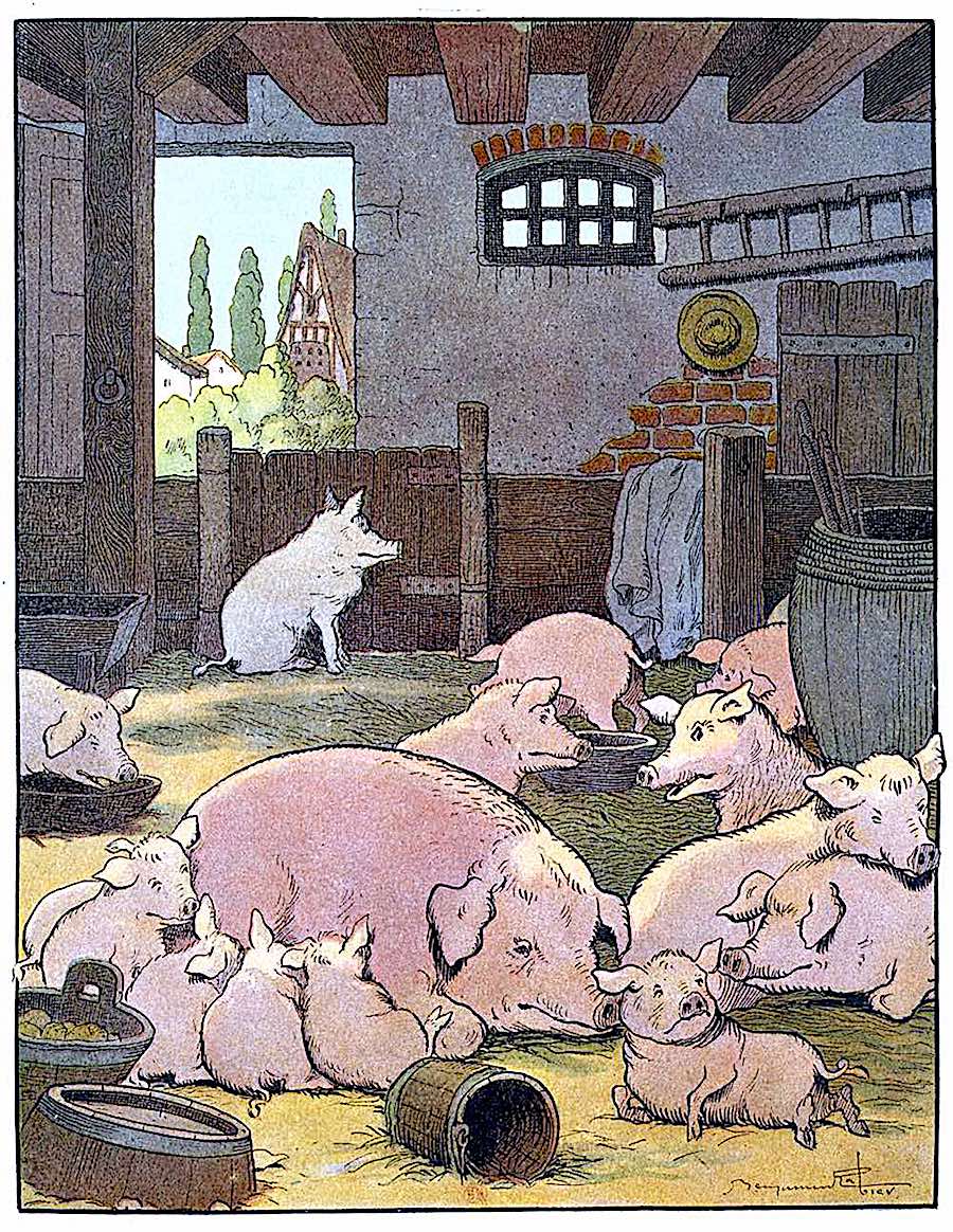 a 1913 Benjamin Rabier color illustration of pigs at home in the barn