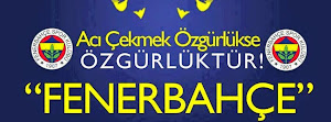 fenerbahçe kapak resimleri