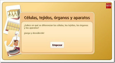 http://www.primaria.librosvivos.net/archivosCMS/3/3/16/usuarios/103294/9/5EP_Cono_ud1_184/frame_prim.swf