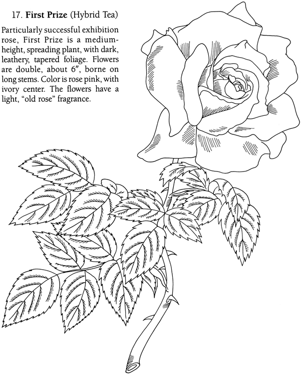 flower coloring pages