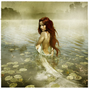 Posted in Lady of the lake Posted in Lady of the lake