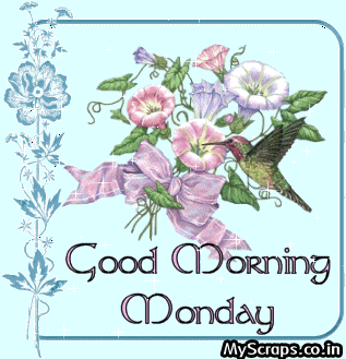 Animated Comments: Good Morning Monday