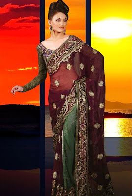 Beautiful Latest Saree Designs 2012