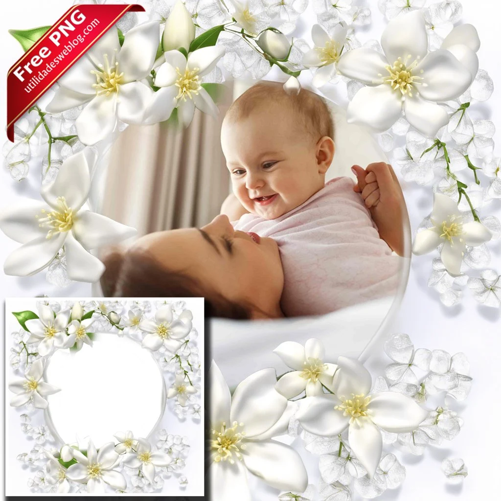 marco para fotos con flores de jasmin blancas en png con fondo transparente para descargar gratis