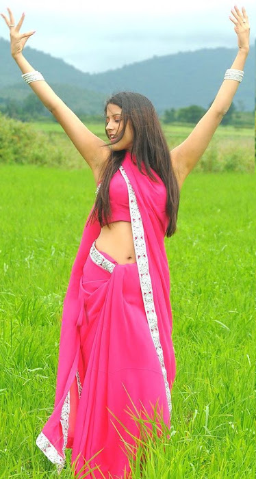 rithika in pink saree
