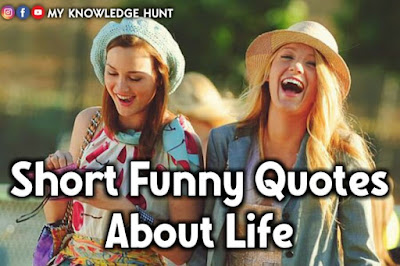 Short Funny Quotes About Life