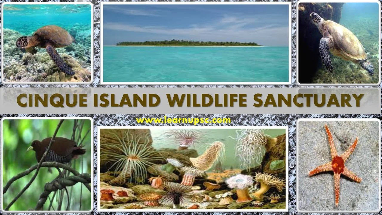 Cinque Island Wildlife Sanctuary