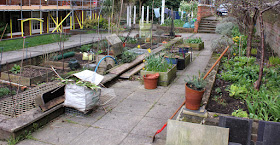 Urban Veg Patch - Urban food garden