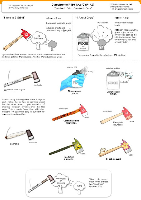 Cytochrome P450 1A2 inducers and inhibitors by Jason Cafer MD