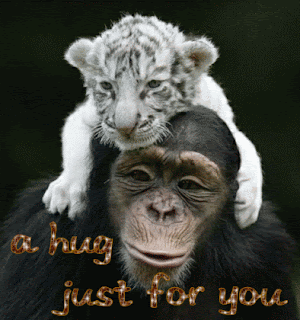 6. Happy Hug Day Hd Wallpapers 2014 - Valentines Day Hug Pictures