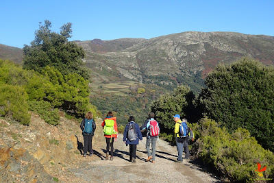 Curs de GPS i mapes digitals