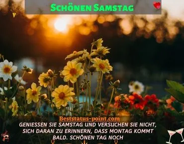 guten morgen samstag bilder lustig kostenlos