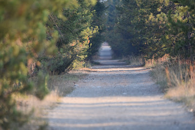 Kettle Valley Rail Trail Beaverdell BC.