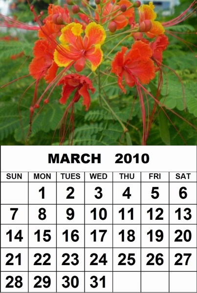 april 2010 printable calendar. Free March 2010 printable