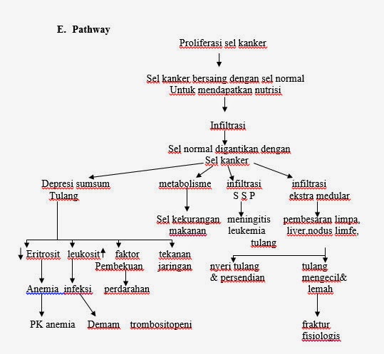 Contoh Karya Ilmiah Biologi Tentang Tumbuhan - Musica Theme V2