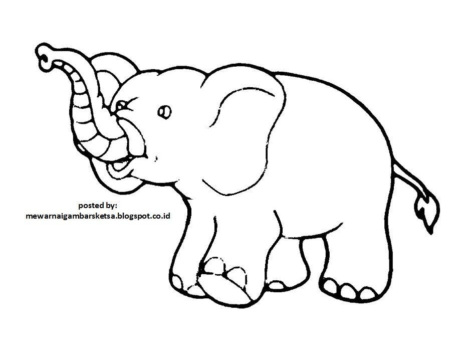 Mewarnai Gambar  Mewarnai Gambar  Sketsa  Hewan  Gajah 1