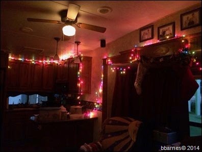 Lights 12072014 2