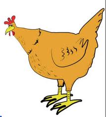 Chicken cartoon picture