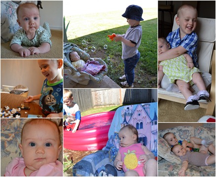 collage1