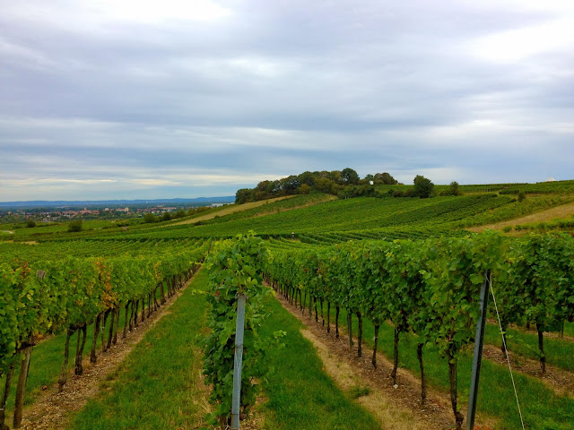 Austrian Landscape