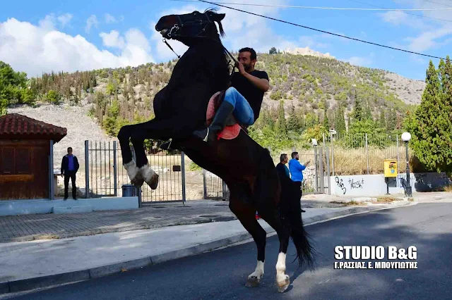 Εντυπωσιακά άλογα στα "Διομήδεια 2017" στο Άργος (βίντεο)