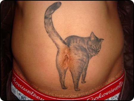 a96748_a487_Cat_Ass2